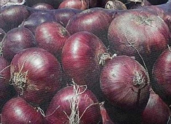 تصویر 4 از قیمت خرید پیاز قرمز بناب عمده + فروش ویژه